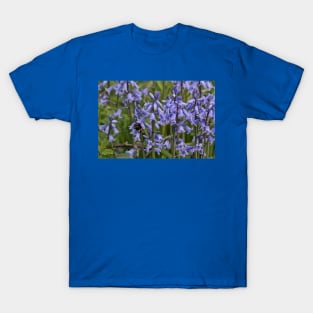 English Bluebells T-Shirt